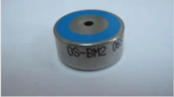 wear os oxygen sensor
