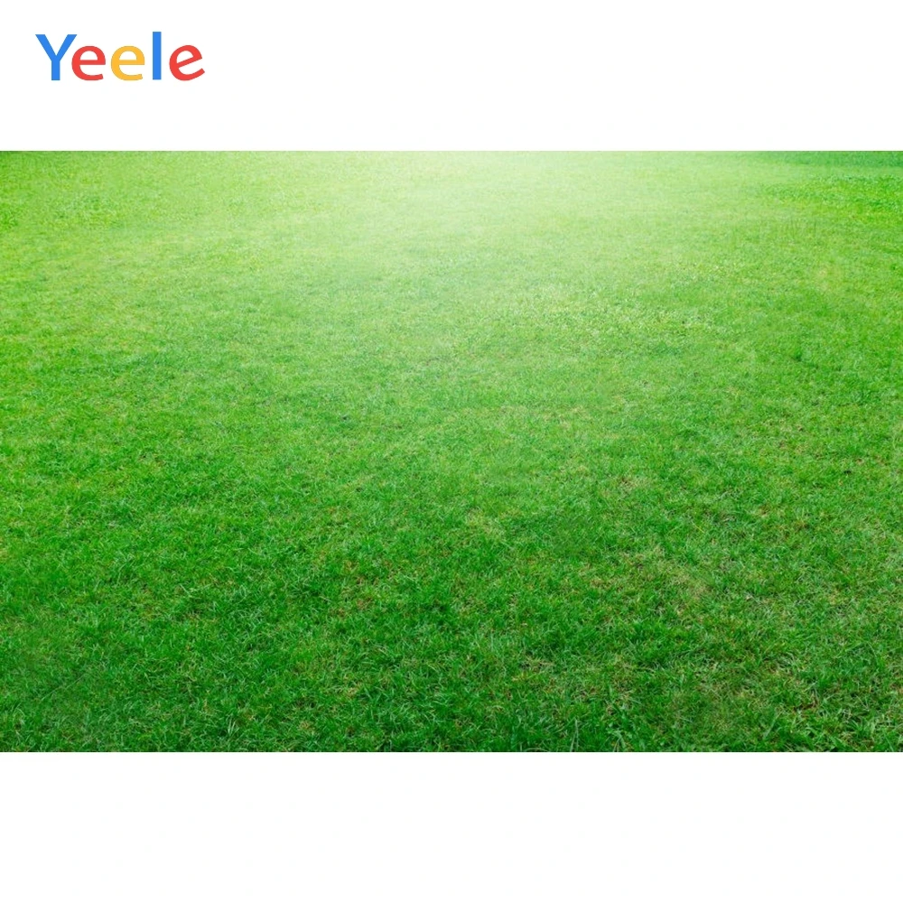 

Yeele Solid Green Grassland Outdoor Wild Donkey Camping Party Photography Backgrounds Photographic Backdrops For Photo Studio