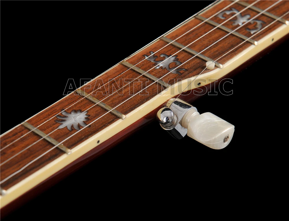Afanti Music 5 String Super Banjo (ABJ 35)|Мандолина| |