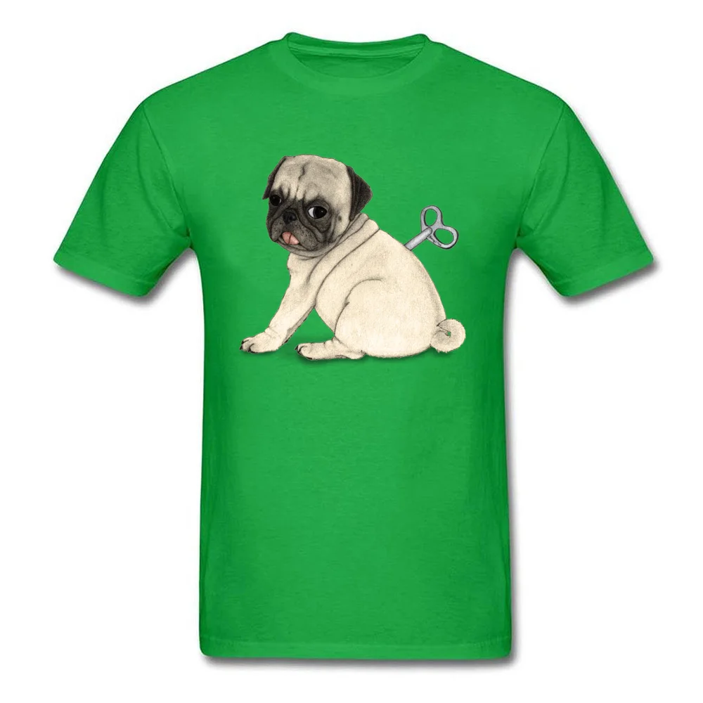 Toy Dog; Pug_green