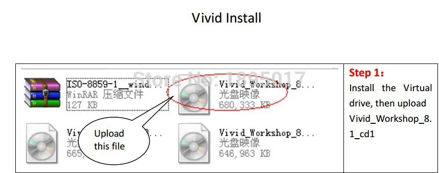 vivid 1