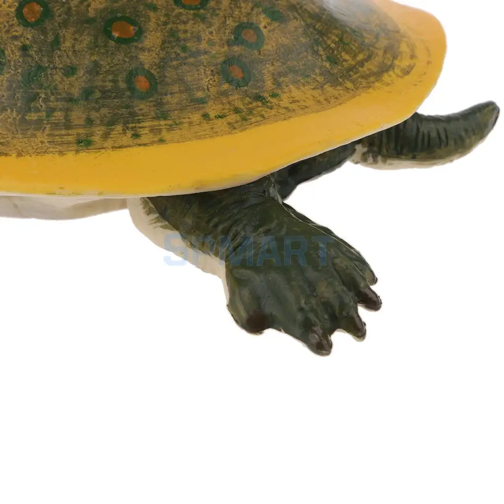 Animals Figure Toys Sea Soft-shelled turtle Animals Model Aquarium Toys Realistic Wild Pastic Figurine Animal Developmental Toy