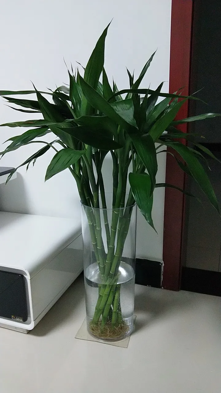 O1CN016HIXKE1nw7S7zqQ2N_!!0-rate