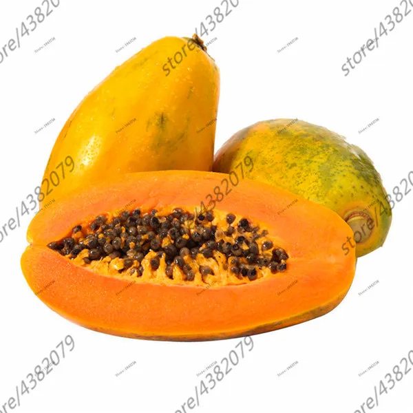 

10pcs fruit gaint Carica Papaya,melon tree,self pollination,Bonsai tree for garden plants