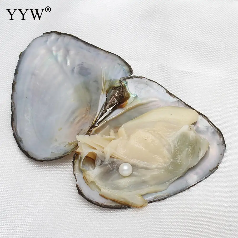 15 шт/партия случайный цвет Oyster Wish речной жемчуг бусины вакуумные упакованные ювелирные изделия 7-8 мм любовь Wish жемчуг устрицы