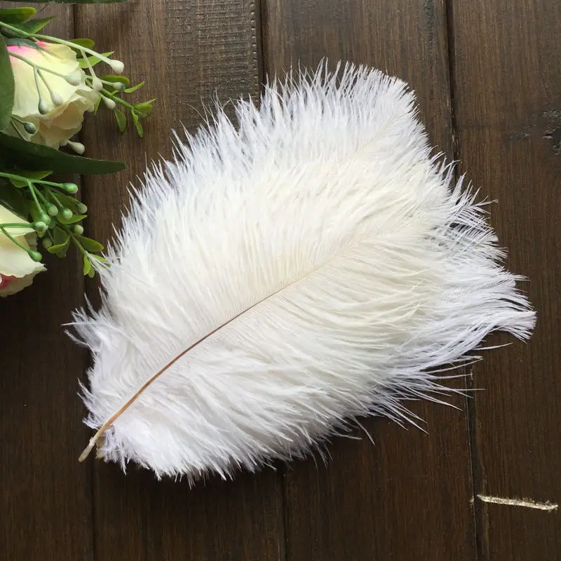 Ostrich feather6
