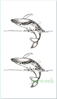 

Waterproof Temporary Tattoo sticker whale on sea level tatto stickers flash tatoo fake tattoos for kids girl child