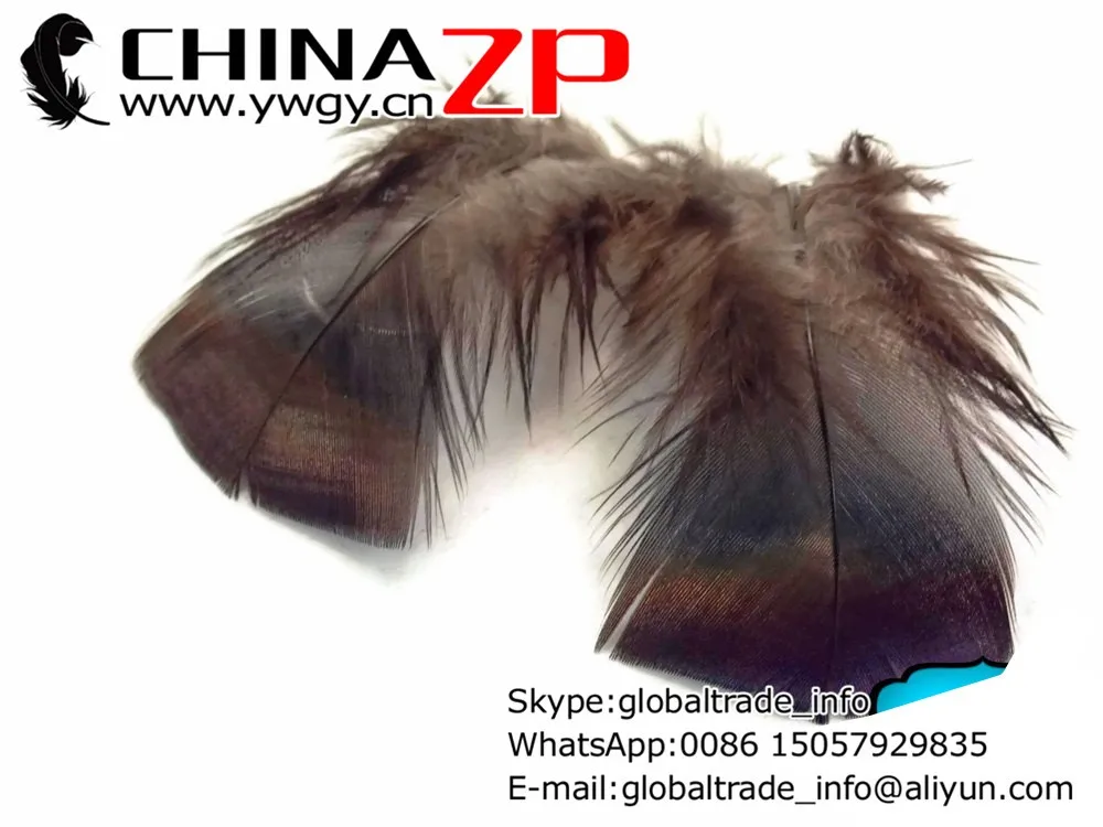 Wild Feathers, 1 Pack - Black Bronze Wild Turkey T-Base Plumage Feathers 0.20 oz.  325