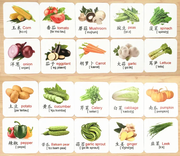 Vegetable Waterproof Alphabet Flash Cards Pocket Flashcards Baby Montessori Learning English Word Educational Toys For Children Aliexpress