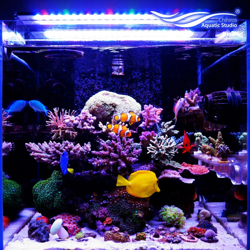 closest aquarium store