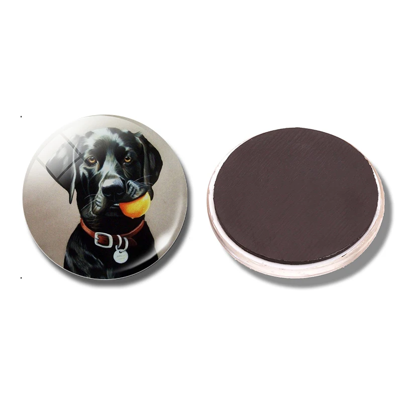 Милая Собака 30 мм Магнитные наклейки на холодильник смешная собака любимая собака подарок стеклянный кабошон держатель для заметок магнит на холодильник домашний декор - Цвет: PACK OF 1