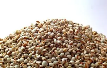 

Free shopping 100% plant material extracts Barley rice extract repair 250ml shrink pores whitening skin care Adlay coix seed
