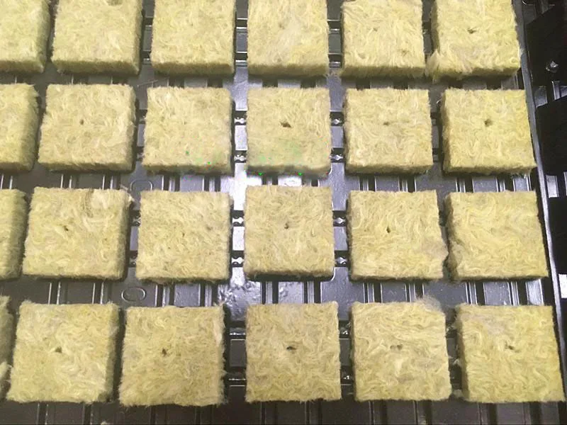 36 мм гродан стартер вилки кубики Rockwool гидропонная система для выращивания медиа-размножения клонирование Rockwool кубики Stonewool мини-блок
