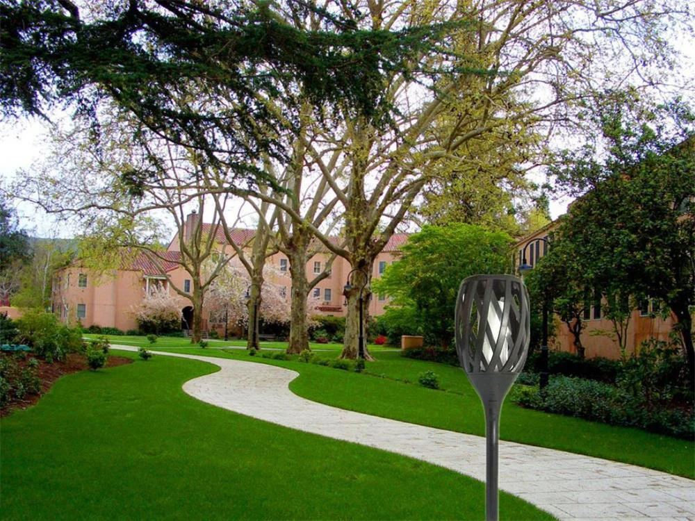 8598662770_1051564966