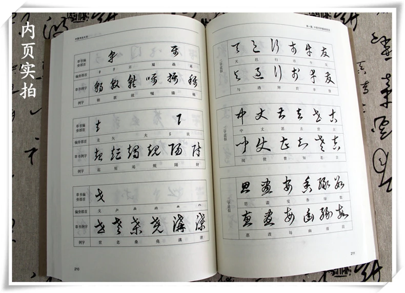Китайская Базовая книга китайского традиционного персонажа для начинающих энциклопедия китайской каллиграфии с известными работами