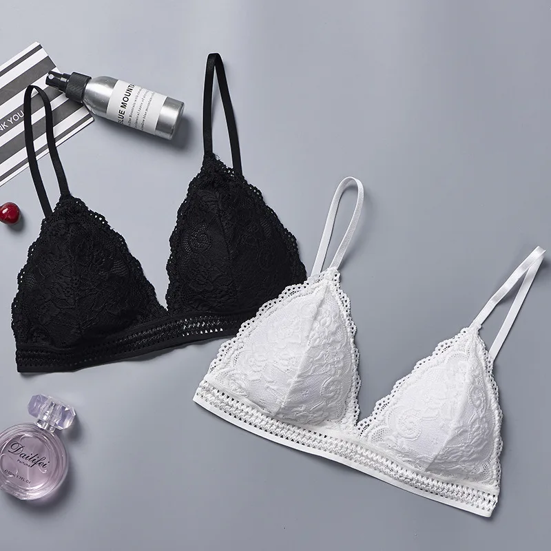 9079136588_2031904541