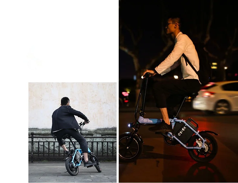 Best Daibot Portable Electric Bike 14 Inch Two Wheel Electric Scooter Three Cycling Mode 300W 48V Folding Electric Bicycle For Adult 5