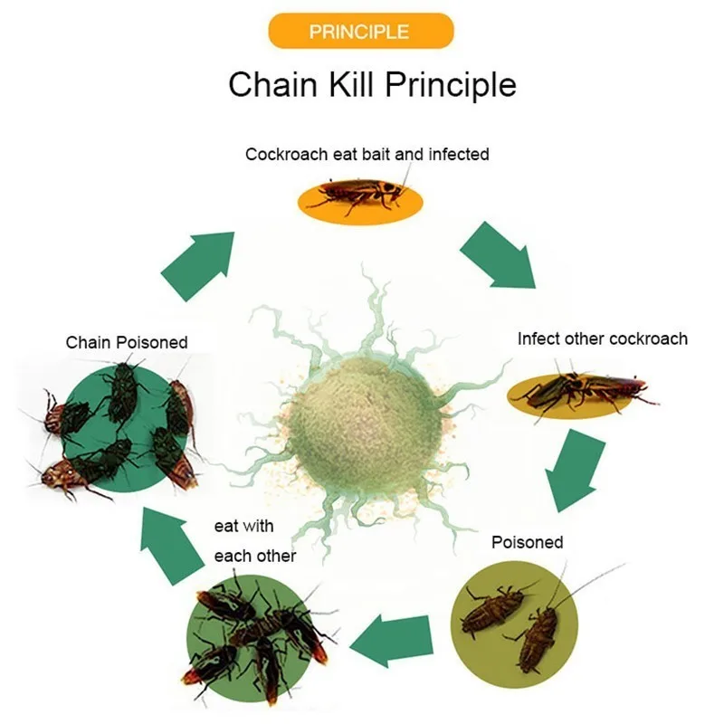 50 шт./лот зеленый лист порошок Приманка для уничтожения тараканов инсектицид репеллент русский тараканы убийца отпугиватель ловушка борьба с вредителями