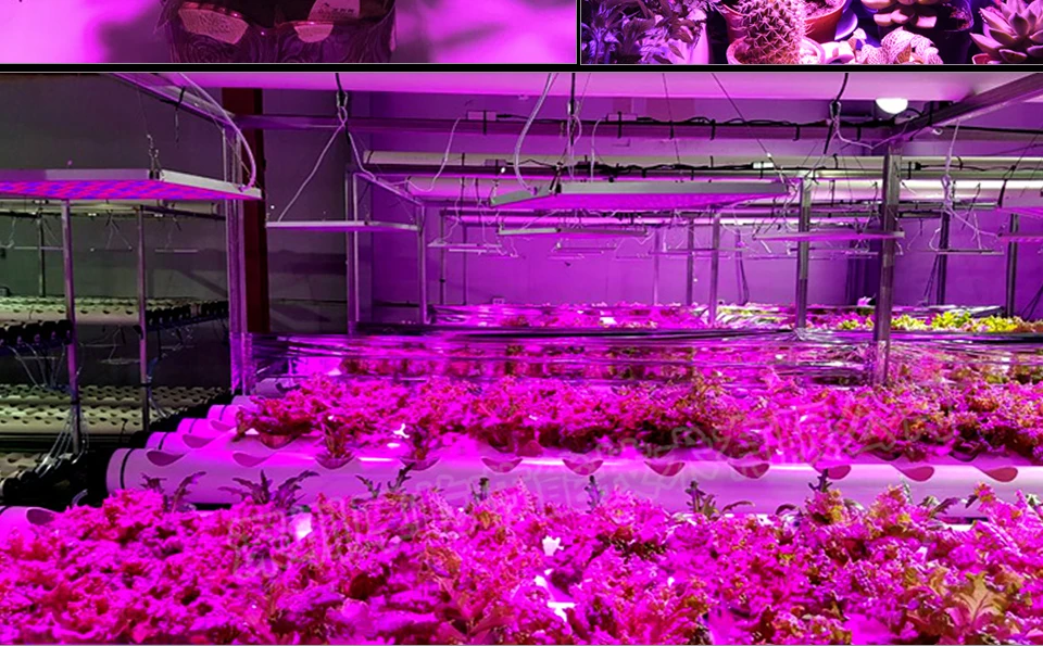 led plant grow light (14)