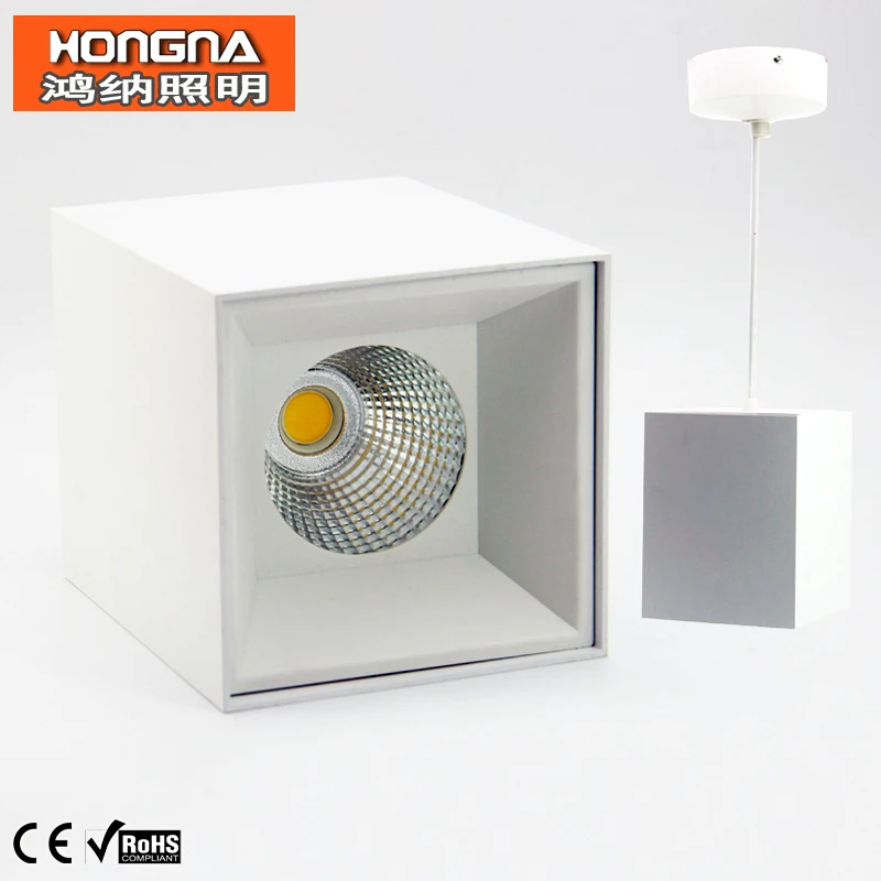 

AC110-220V 20W 30W LED Downlights High Lumen COB Light Source Surface Mounted Downlight Hanging Downlights