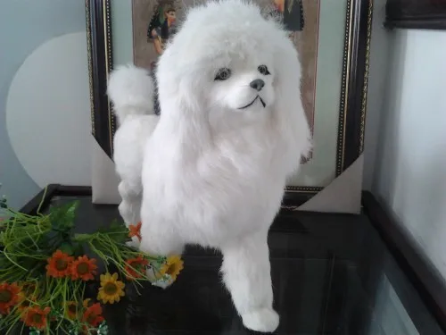 HTB1us7BLXXXXXbHXXXXq6xXFXXXF