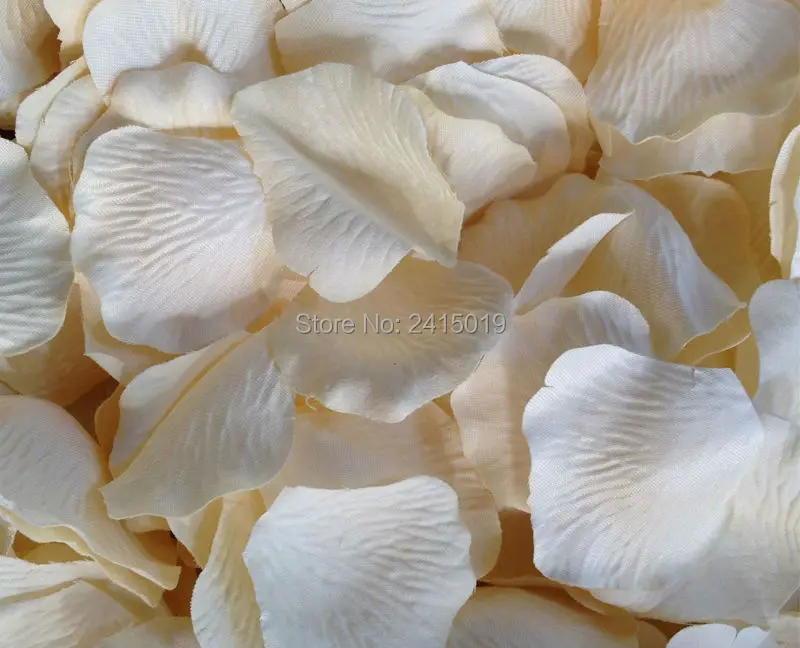 100 Ivory Silk Rose Petals Wedding Anniversary Christening Party Decorations-2
