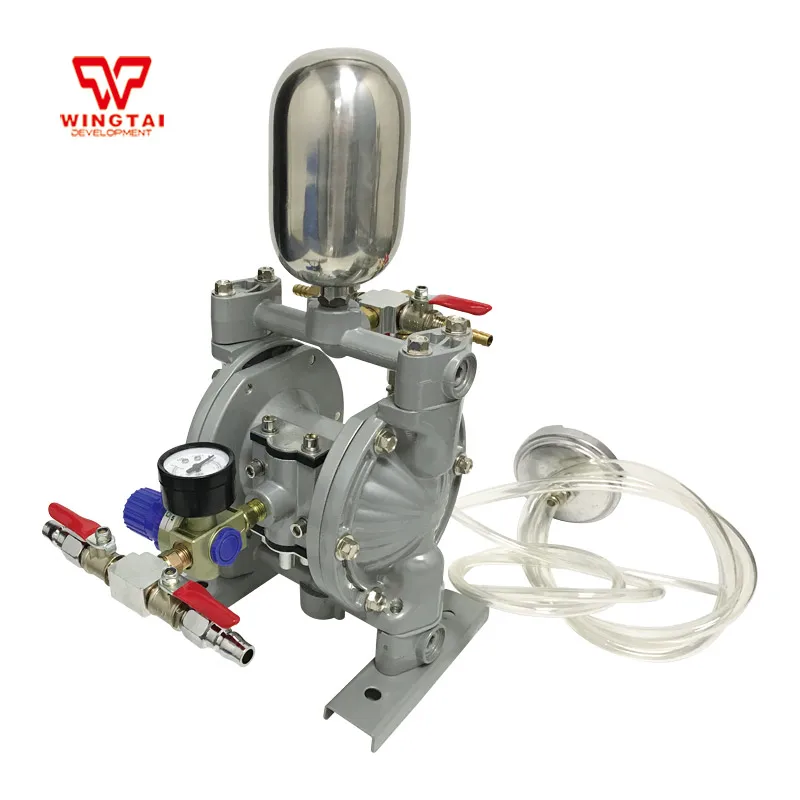 

Spraying Suit BML-10C Double Way Pneumatic Diaphragm Ink Pump