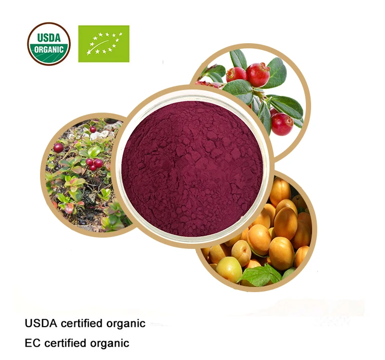 Сертифицированный USDA и EC органический экстракт lingonberry 10:1 антоцианин|Товары для