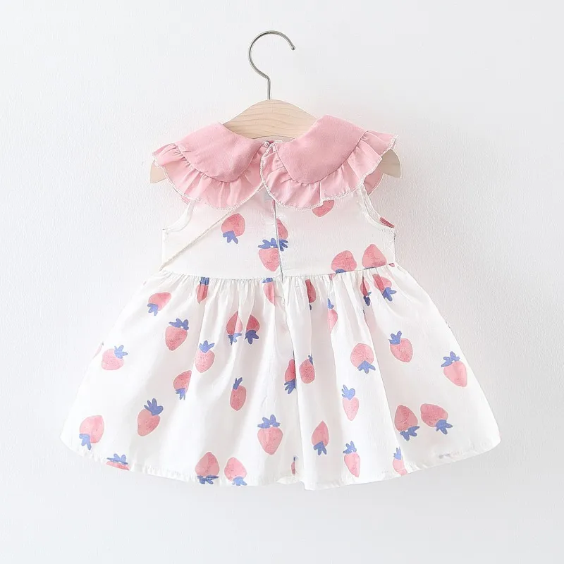 XL2596 (4)