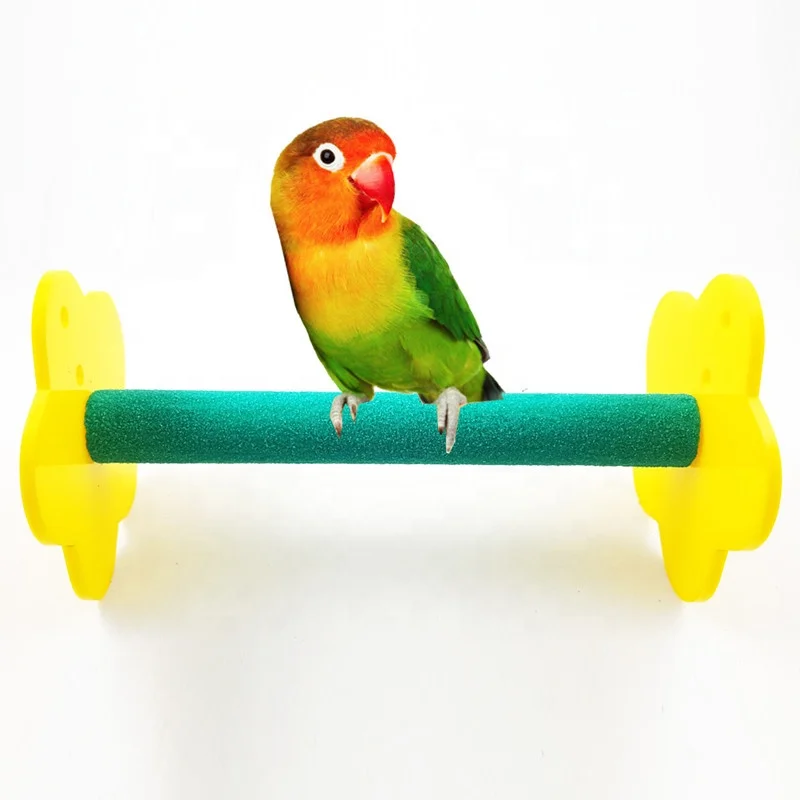 

Small and medium-sized Pet bird parrot swing desktop platform dual-purpose
