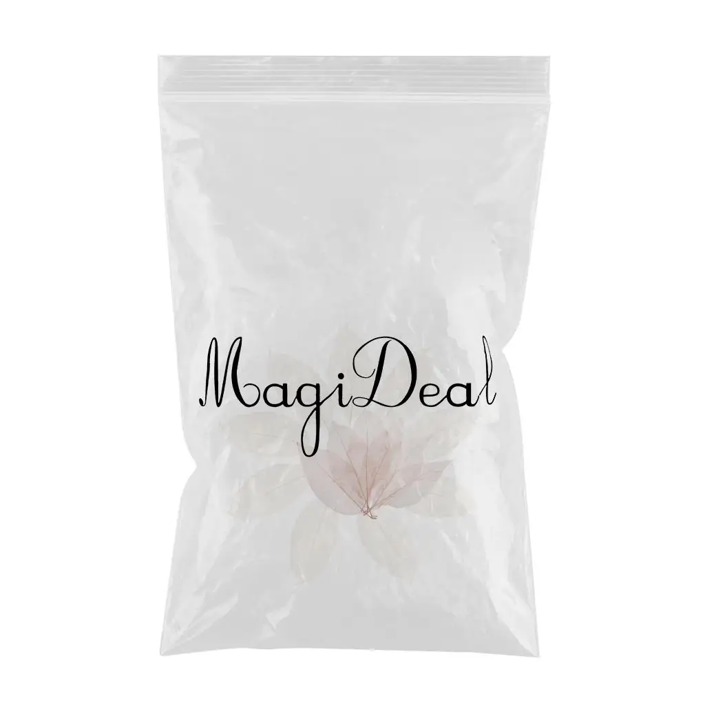 100 Pieces Mixed Pressed Dried Real Magnolia Skeleton Leaves for Scrapbooking, Cards Making, Bookmark Crafts (Whit & Coffee)
