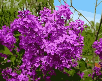 

MaHuaf-j022 lilac flowers Coloring by Numbers digital DIY Oil Painting Hand-painted Paint by number art picture for home Decor