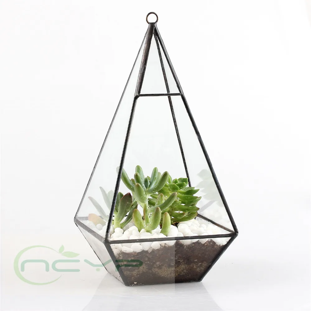 Buy Triangle Pyramid Geometric Glass Terrarium Box