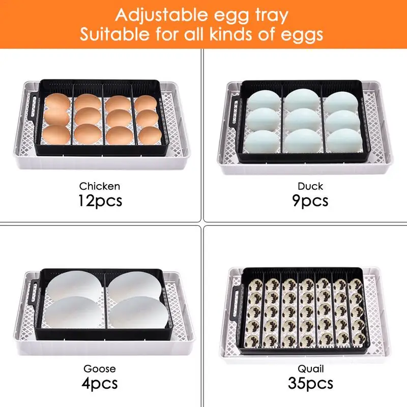 Автоматический цифровой инкубатор для 12 яиц большой емкости практичные