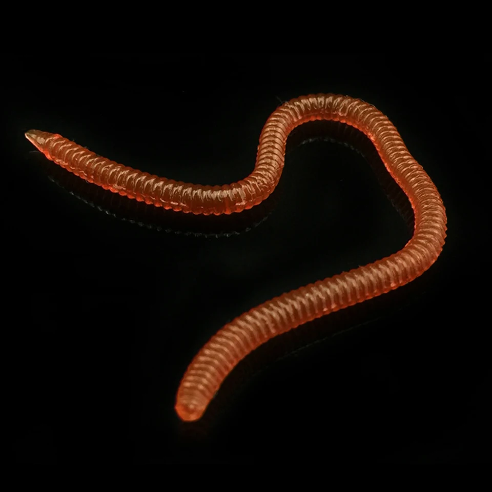 20Pcs Simulation Earthworm Red Fishing Worms Artificial Fishing Worms Fishy Smell Lures Soft Bait 8cm 10cm Fishing Tackle 20Pcs Simulation Earthworm Red Fishing Worms Artificial Fishing Worms Fishy Smell Lures Soft Bait 8cm 10cm Fishing Tackle