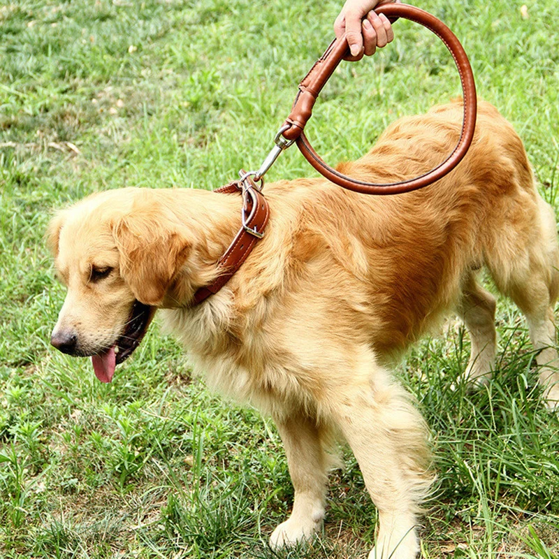 Strong PU Pet Dog Collar Leash for Medium Large Dogs Round Rope