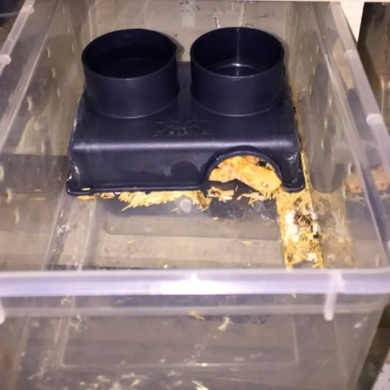 Многофункциональная кормушка для рептилий 3 в 1 миска для кормления питьевая вода еда ванная комната пещера укрытие игрушки змея черепаха дозатор корма для домашних животных