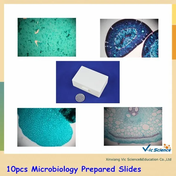 Microbiology Prepared Slides
