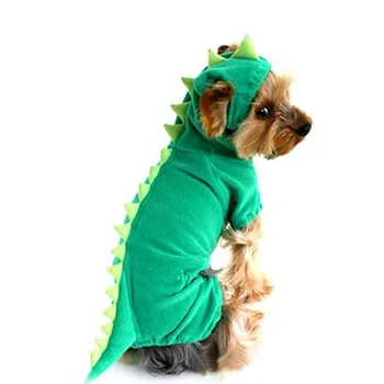 Dinosaur Costume 1