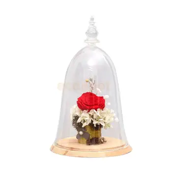

Bell-shaped Glass Cover Vase Micro-Landscape Terrarium Container Tray Beige