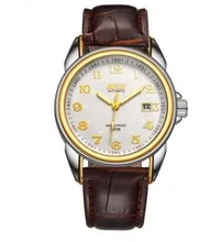 New Brand Automatic Mechanical Leather Causual Watch Luminous Waterproof Watches Date Business Gold Wristwatch Man Clock