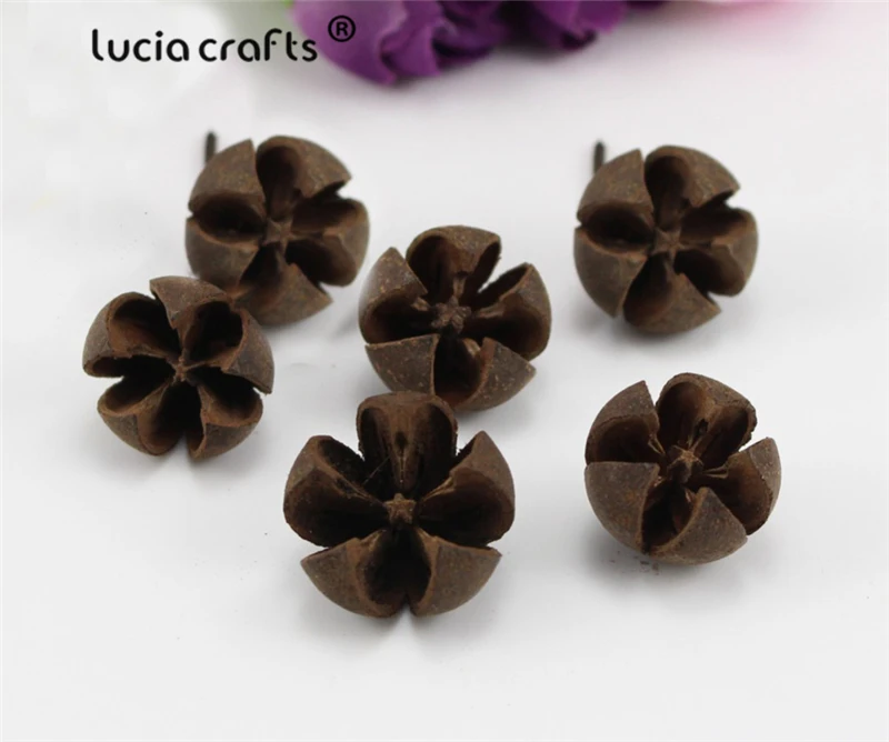 Lucia crafts 20 шт./лот случайный размер Натуральные сушеные цветы ручной работы