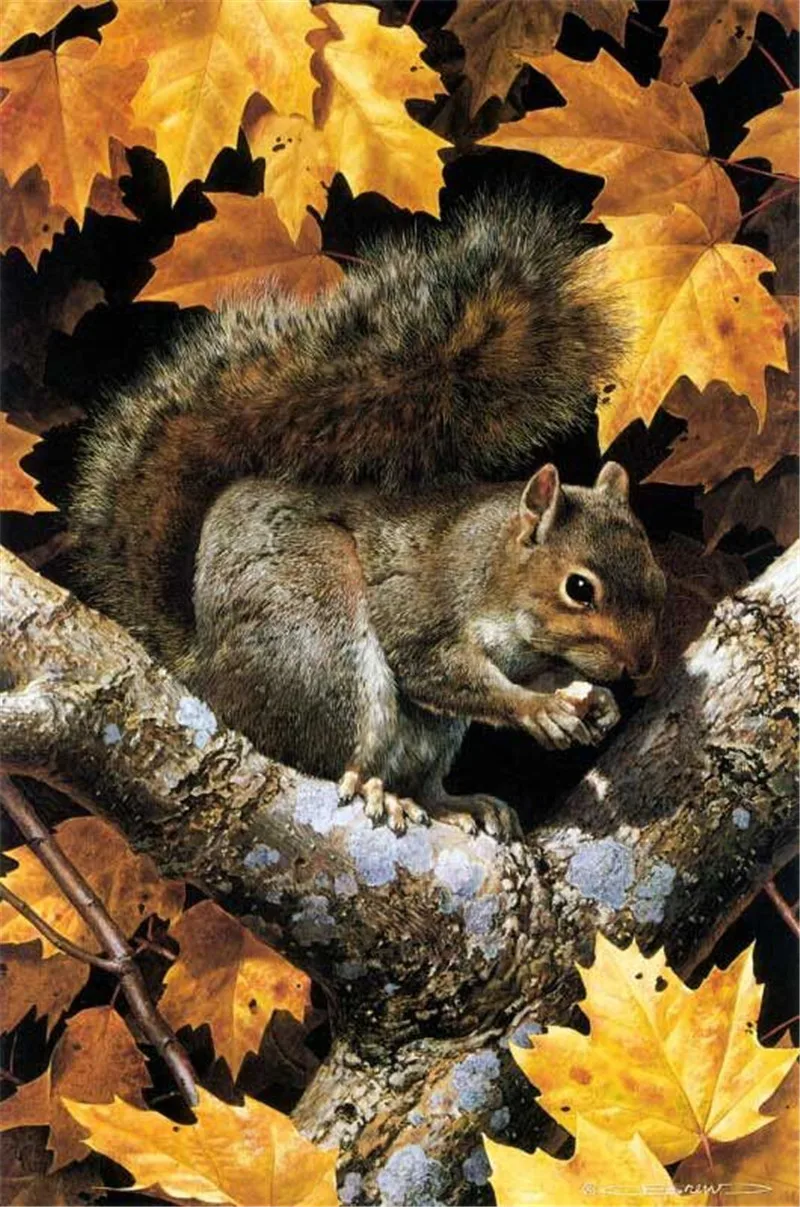 

Diamond Embroidery 5D Diy Diamond Painting Full Dill cube Diamond Mosaic Animals Home Decoration Paintings