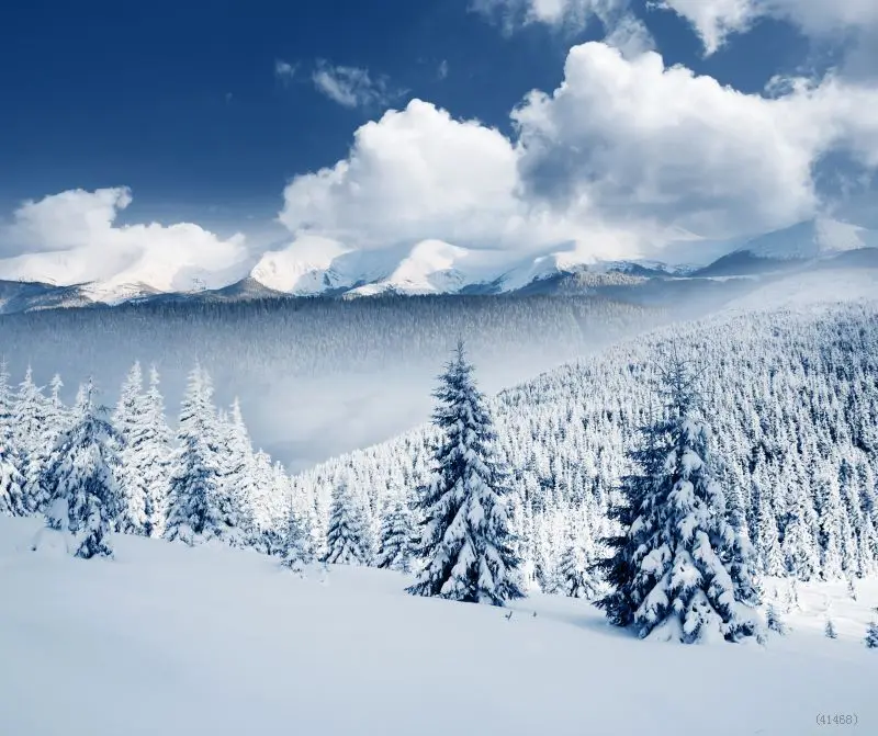 mountain scene backdrop