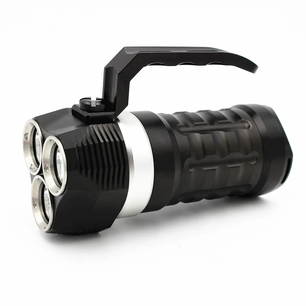 Hand held  Diving Flashlight DL0021 (1)
