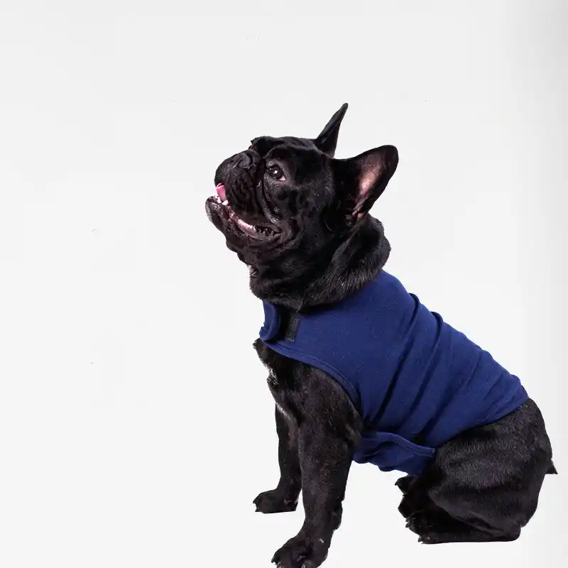 stress shirt for dogs
