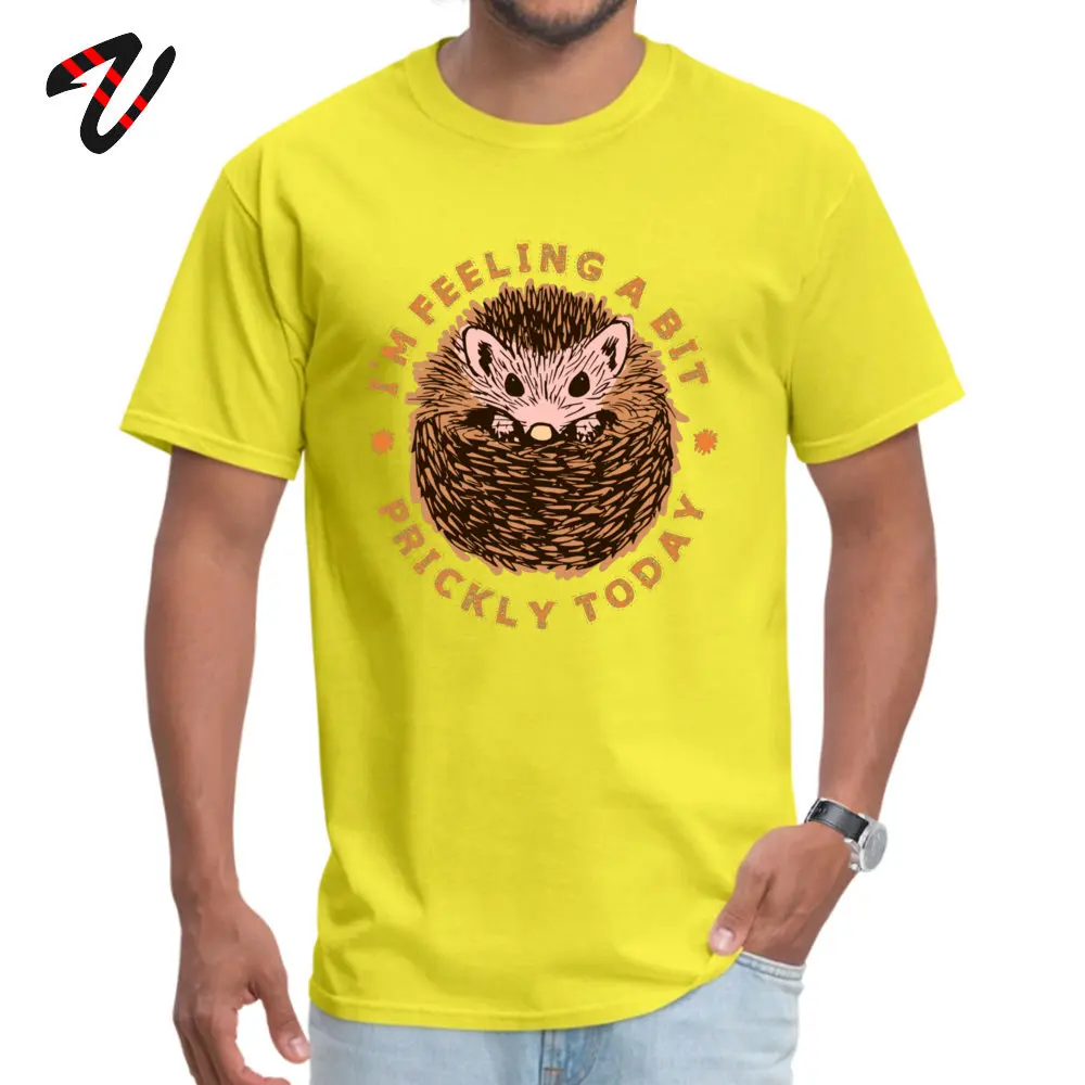 Round Neck Classic Cotton Fabric Men's T Shirt Crazy Short Sleeve Tops T Shirt 2018 Fashion Summer Tees Wholesale Hedgehog Im Feeling A Bit Prickly Today -14046 yellow