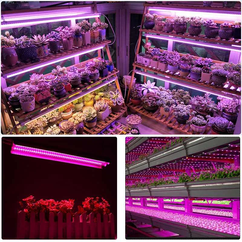  New LED Grow Lights 200W Full Spectrum Growing LED Lamp Lighting 50cm Double tube plant chandelier  - 33056023585
