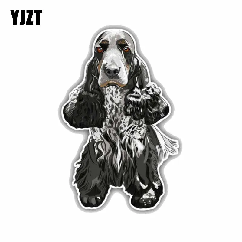 

YJZT 7.9CMx12CM British Cocker Spaniel Colored PVC High Quality Car Sticker C1-9001