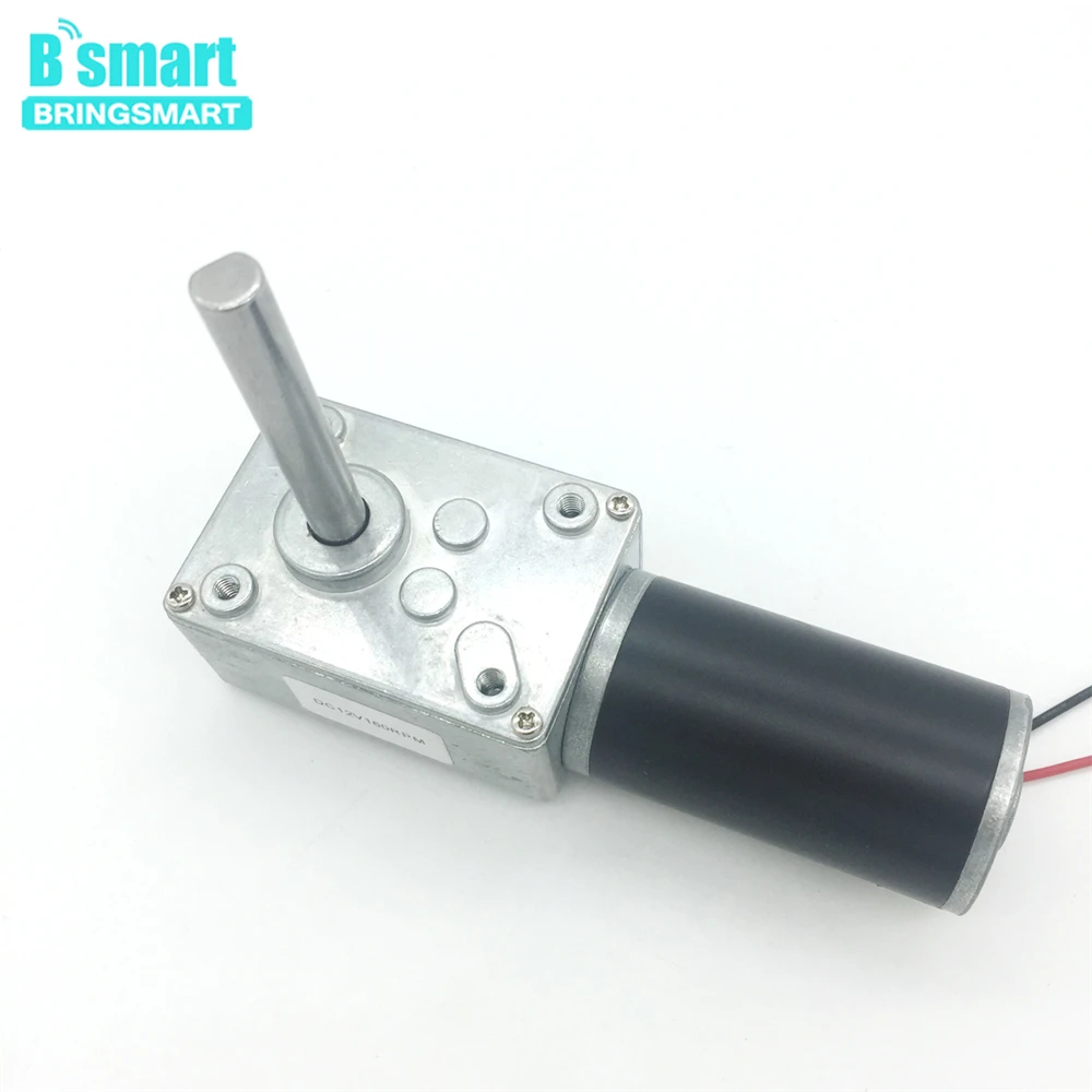 

Bringsmart DC 12V 24V PMDC Worm Geared Motors High Torque DC Motor Reversed Reduction Motor Self-Lock Extension Shaft 5840-31ZY